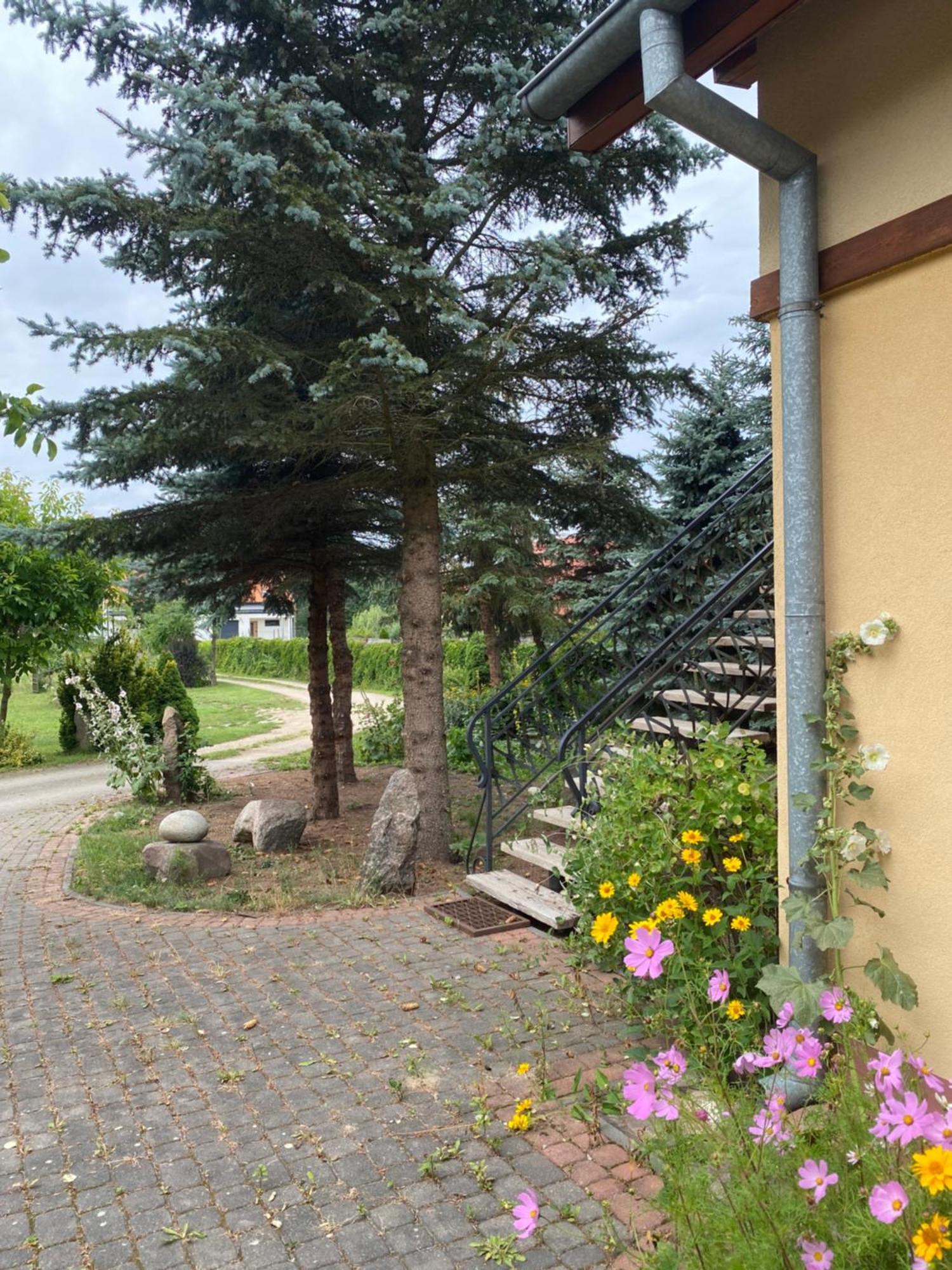 Farm stay Agroturystyka Pod Podkowa Mragowo
