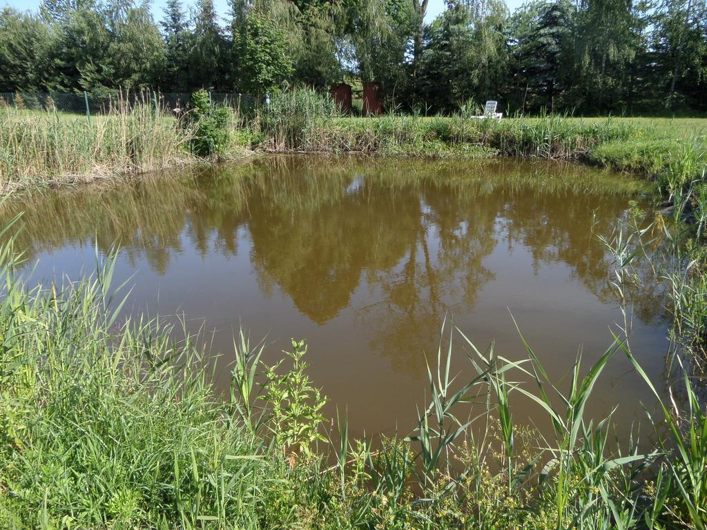 Agroturystyka Pod Podkowa Farm stay Mragowo