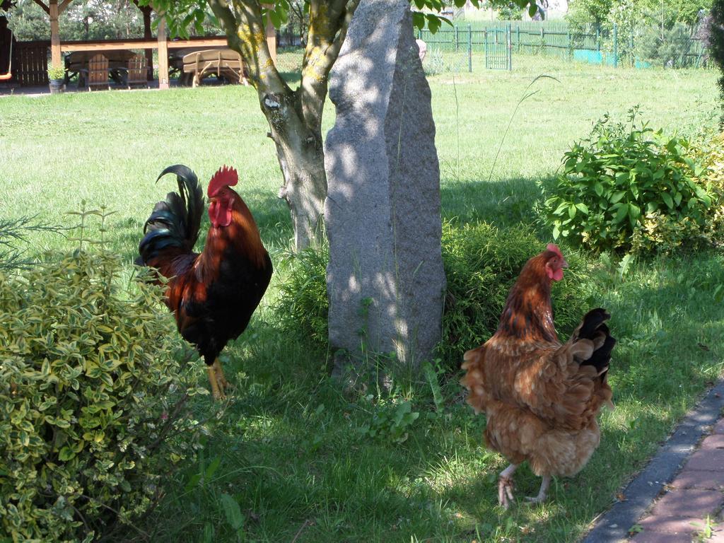 Agroturystyka Pod Podkowa * Mragowo